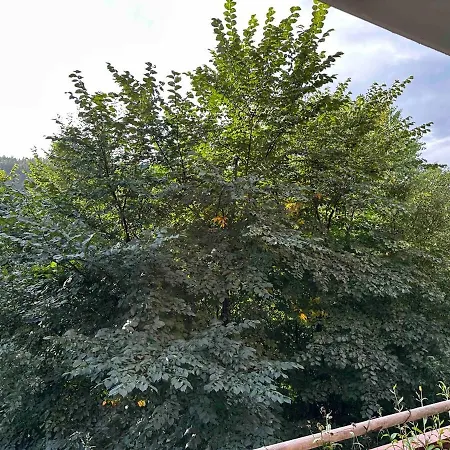 Large And Family-friendly With Heating And Terrace Oslo